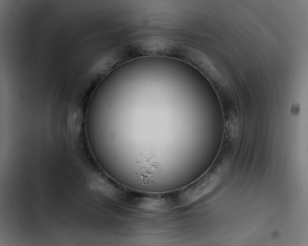 X0000103450458200809121432