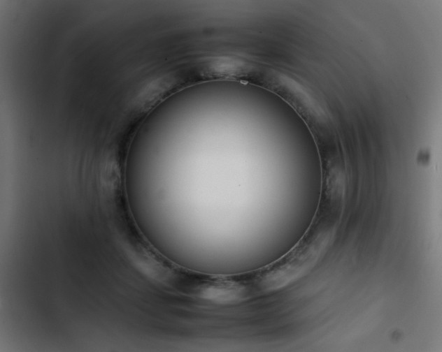 X0000103450459200809121432