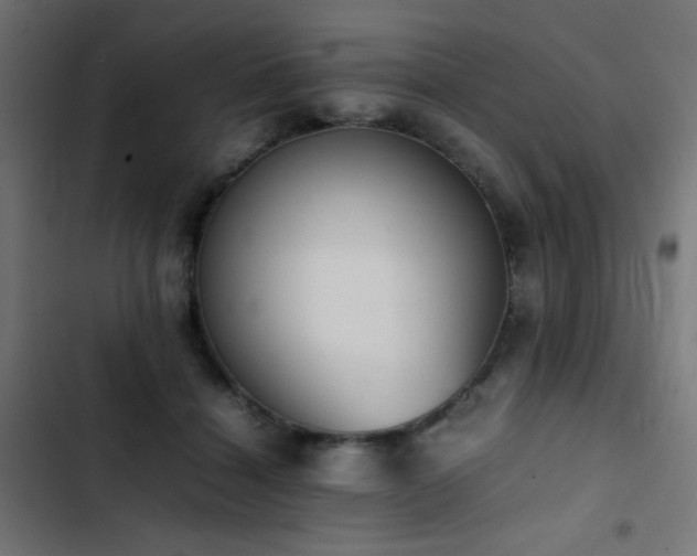 X0000103450460200809121432