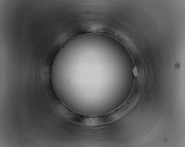 X0000103450461200809121432