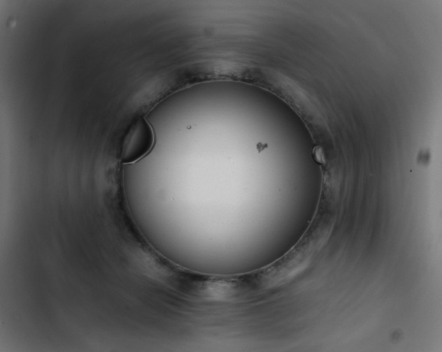 X0000103450462200809121432