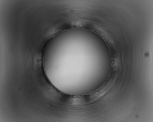 X0000103450466200809121432