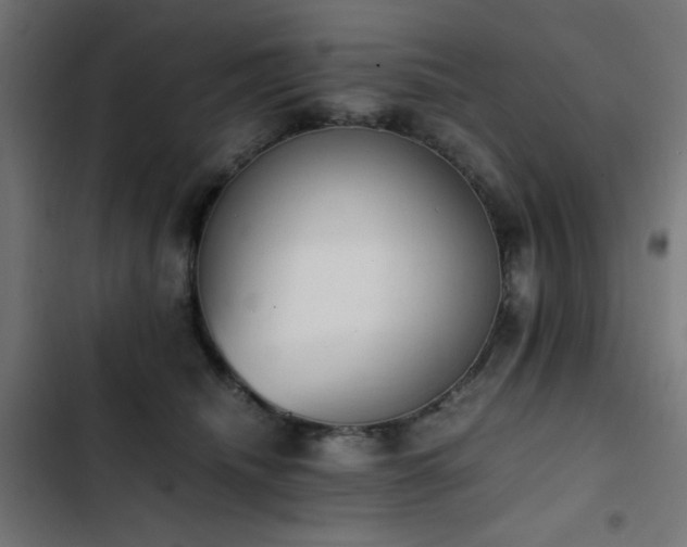 X0000103450468200809121432