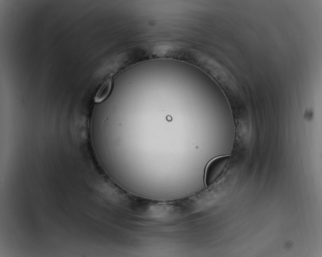 X0000103450470200809121432