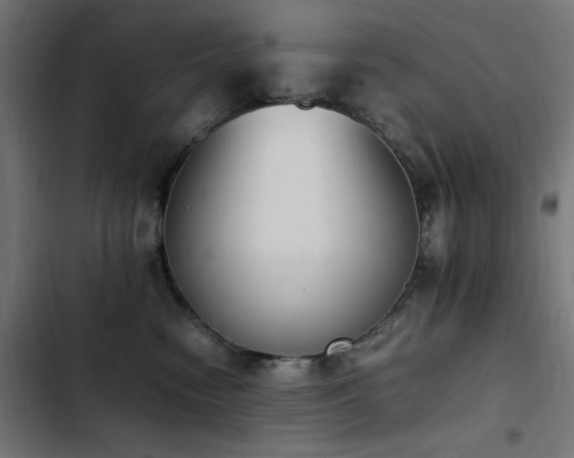 X0000103450474200809121432