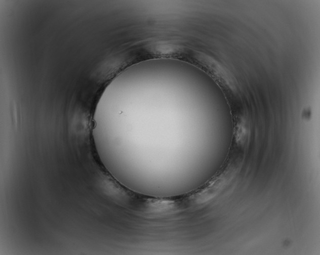 X0000103450476200809121432