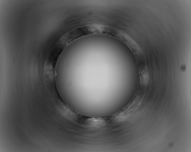 X0000103450477200809121432
