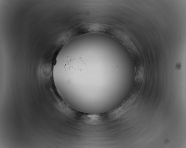 X0000103450478200809121432