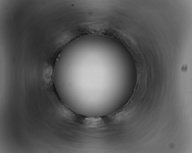 X0000103450480200809121432