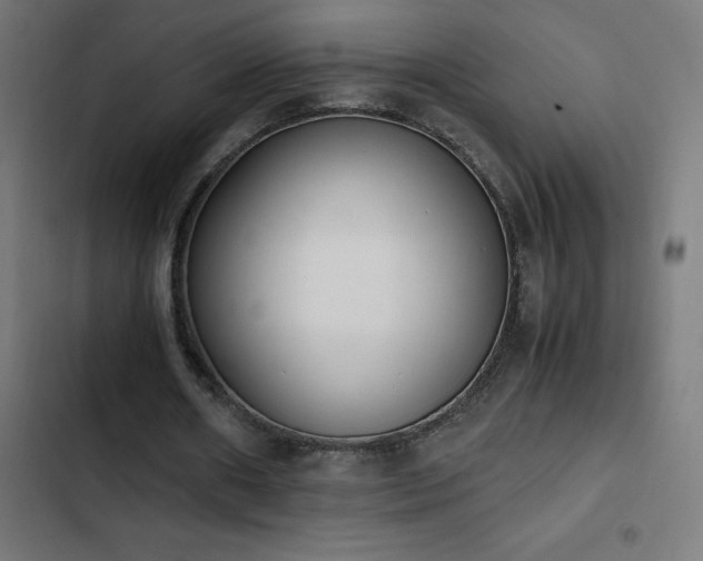 X0000103450482200809121431