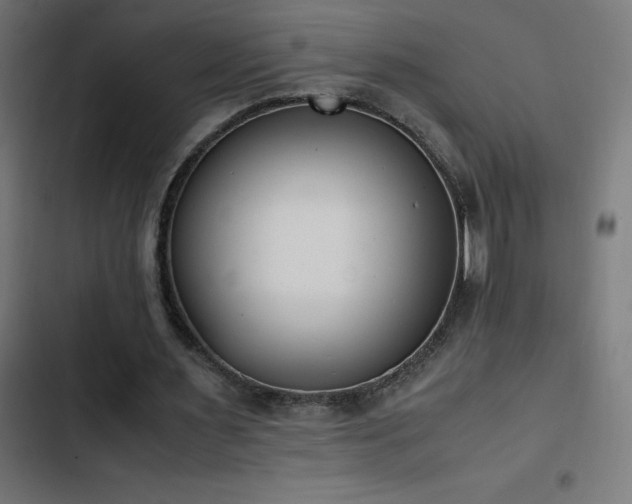 X0000103450483200809121431