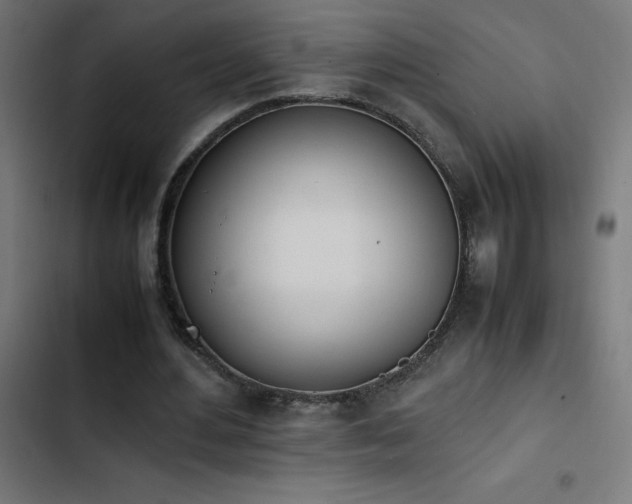 X0000103450484200809121431
