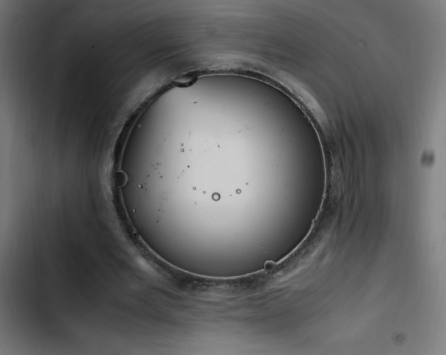 X0000103450485200809121431