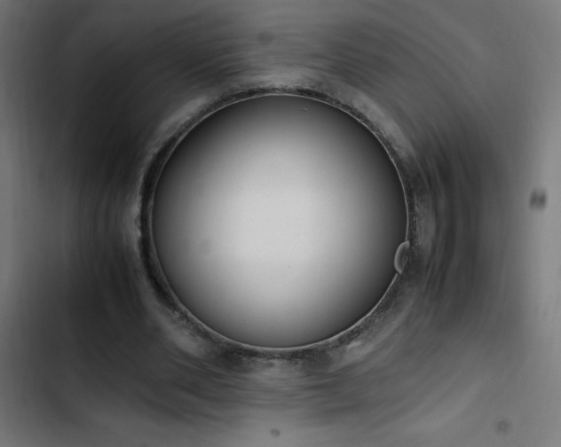 X0000103450486200809121431