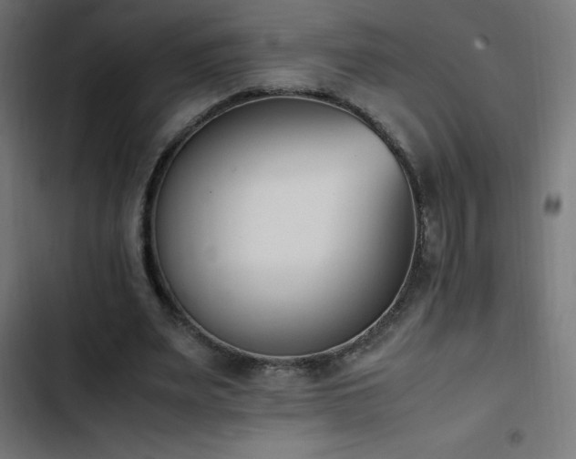 X0000103450487200809121431