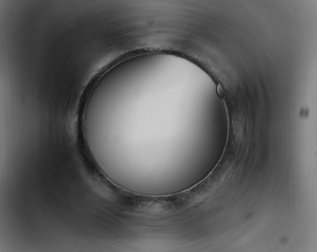 X0000103450488200809121431