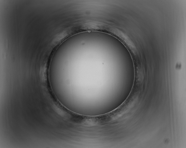 X0000103450489200809121431