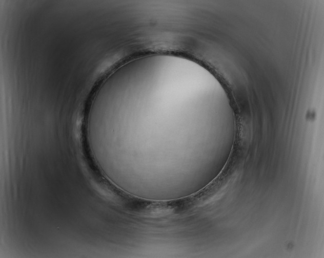 X0000103450491200809121431