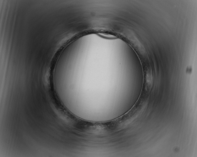 X0000103450492200809121431