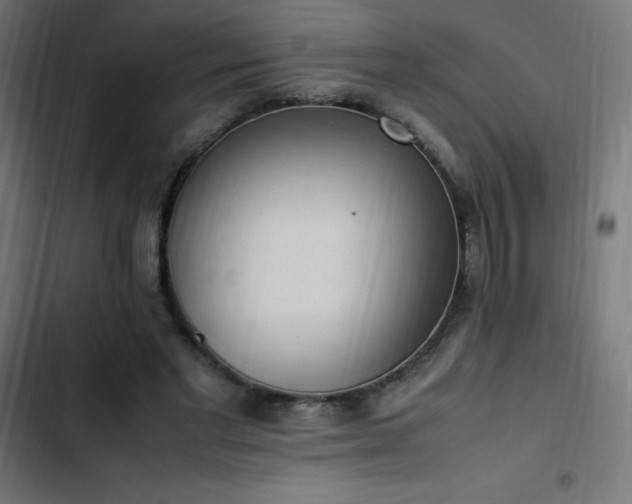 X0000103450493200809121431