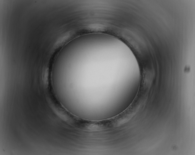 X0000103450494200809121431