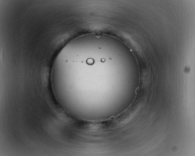 X0000103450495200809121431