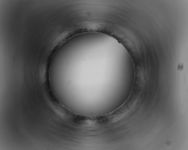 X0000103450496200809121431
