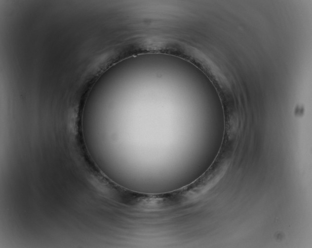 X0000103450497200809121431