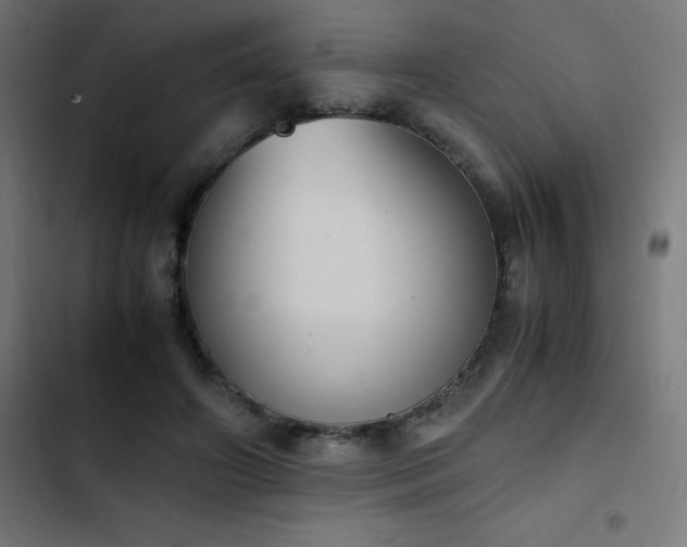 X0000103450498200809121431