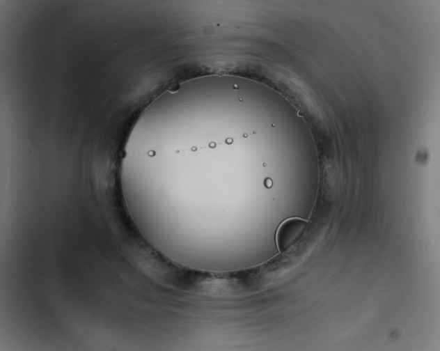 X0000103450499200809121431