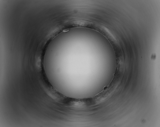 X0000103450500200809121431