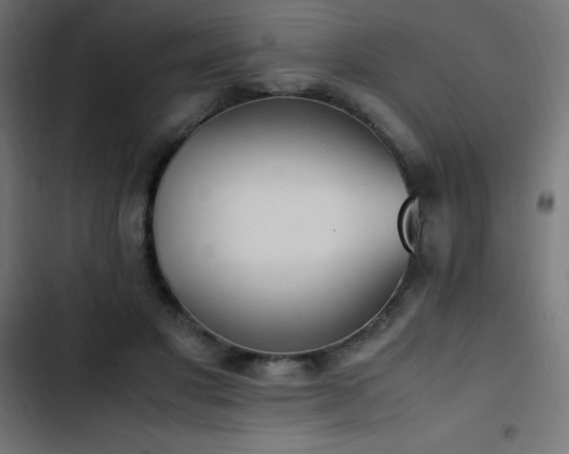 X0000103450501200809121431
