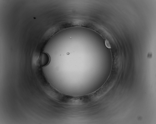 X0000103450502200809121431