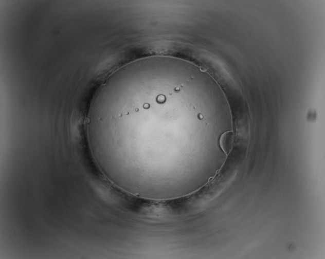 X0000103450503200809121431