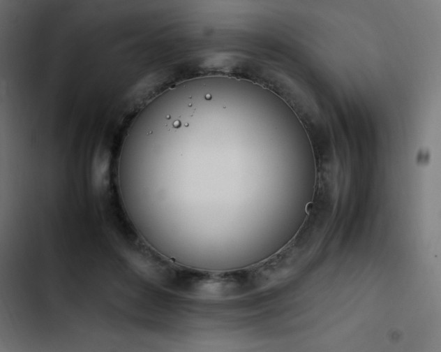 X0000103450504200809121431