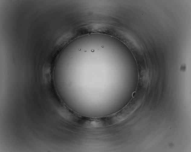 X0000103450506200809121431