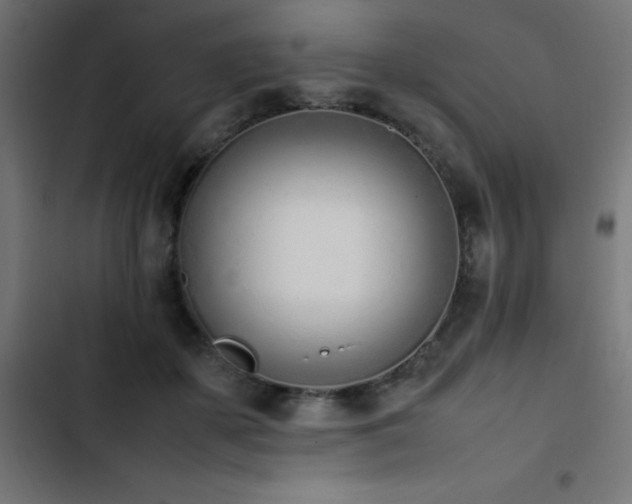 X0000103450507200809121431