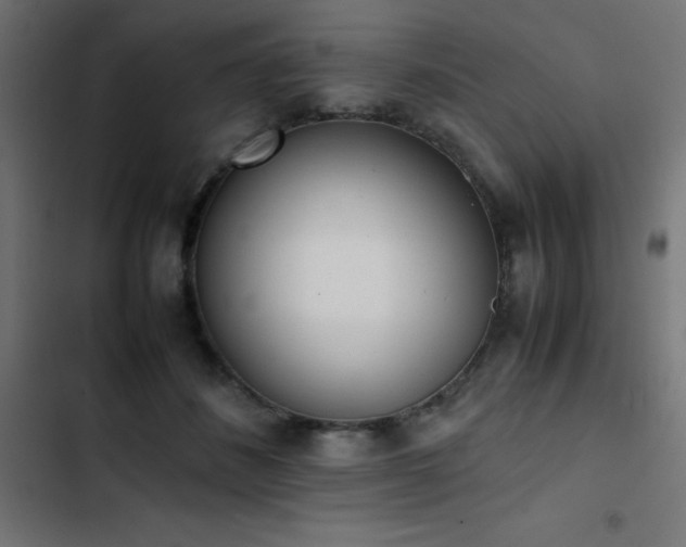 X0000103450508200809121431