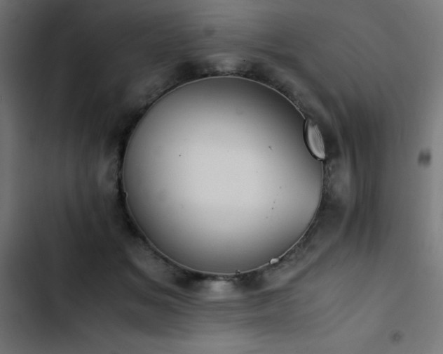 X0000103450509200809121431