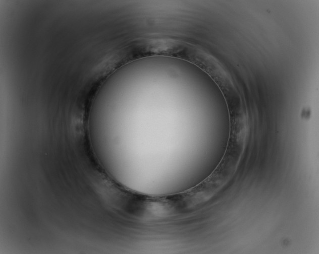 X0000103450510200809121431