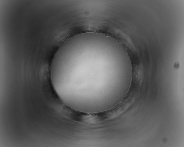X0000103450511200809121431