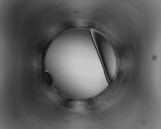 X0000103450512200809121431