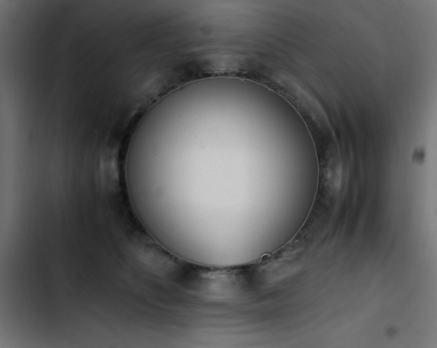 X0000103450516200809121430