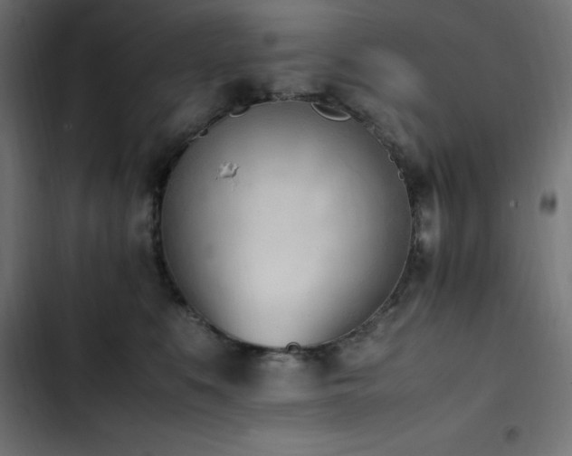X0000103450519200809121430