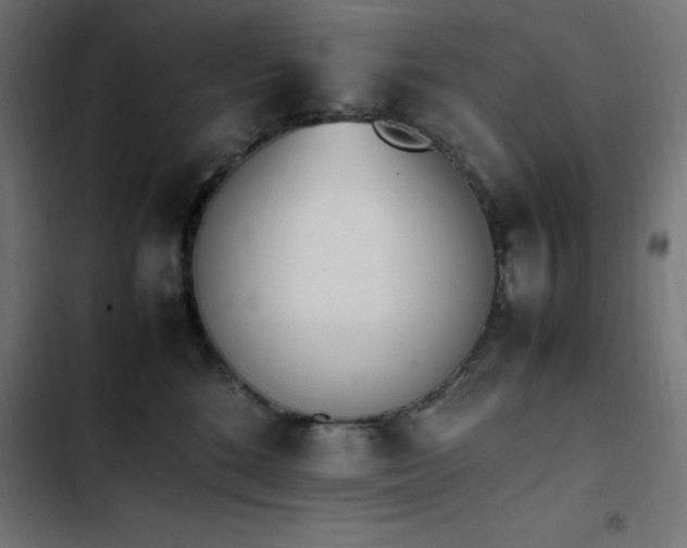 X0000103450520200809121430