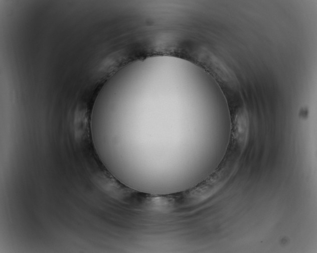 X0000103450522200809121430