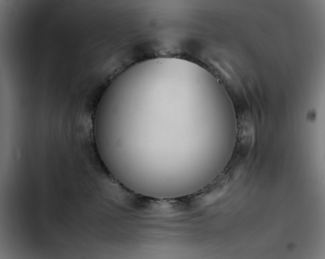 X0000103450523200809121430