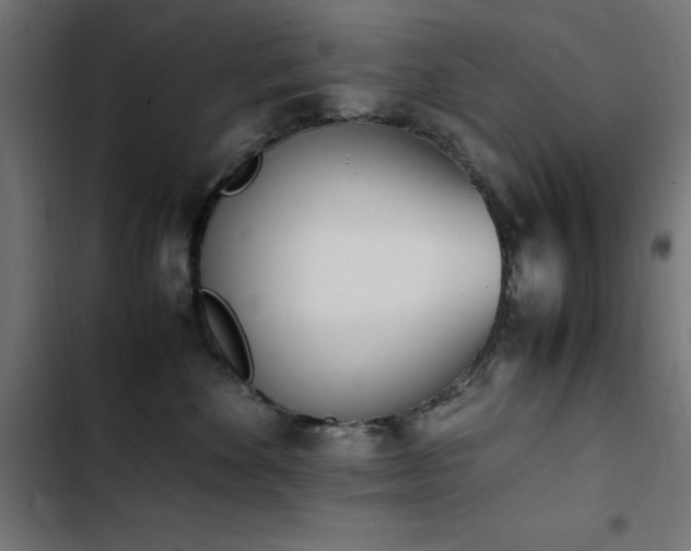X0000103450524200809121430