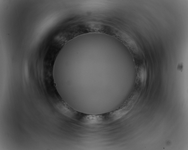 X0000103450526200809121430