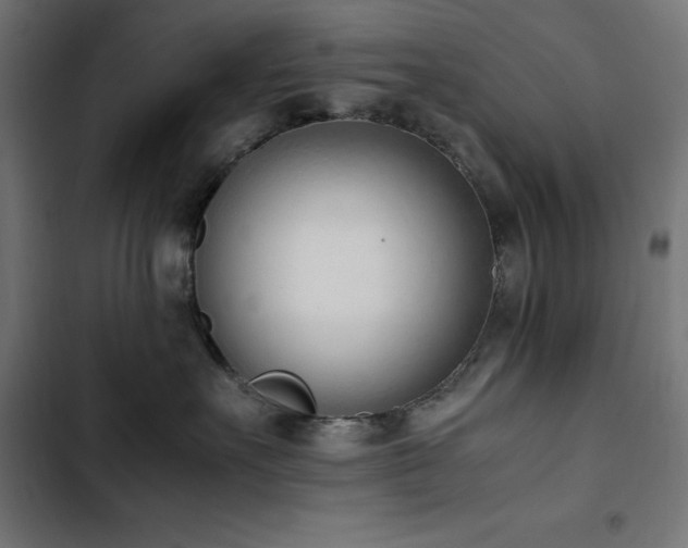 X0000103450527200809121430